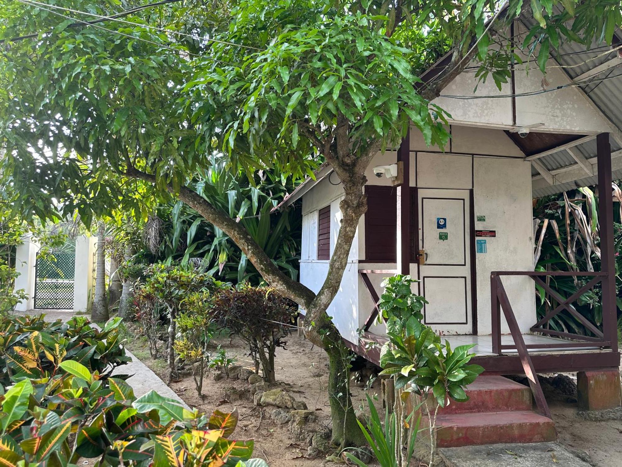 Hotel Yoga Dreams Negril Extérieur photo